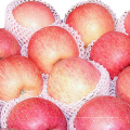 Nouvelle Crop Chinese FUJI Apple